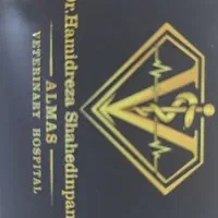 استخدام در تمام پزیشن ها
