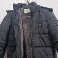 کاپشنی نو|لباس|بجنورد, |دیوار