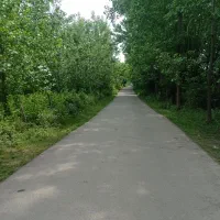 15 هزار متر زمین  مناسب بومگردی