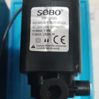 تاپ فیلتر|ماهی|شیراز, تندگویان|دیوار