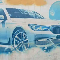 نیروی کار در کارواش