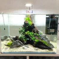 آکواریوم (هدیه روز مادر)|ماهی|مشهد, ولیعصر (شهرک غرب)|دیوار