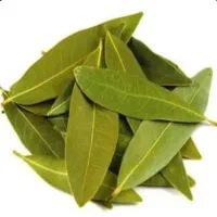 برگ بو کارخانه