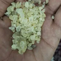 سقز و مستکی