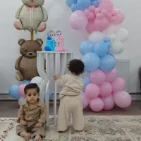 بادکنک ارایی وگل ارایی
