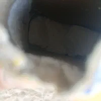 تست دستی|مواد شوینده و دستمال کاغذی|گنبد کاووس, |دیوار