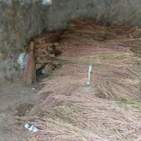 جارو شهرداری