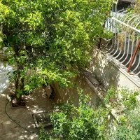 فروش-زمین-سنددار-سرنبش-چغا-گل-یخ-شرقی-معاوضه-با