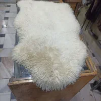 پوست گوسفند نژادهای ایرانی و نژاد مرینوس وارداتی