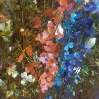 گل طلایی و رنگی