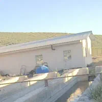 فروش بچه ماهی قزل الا