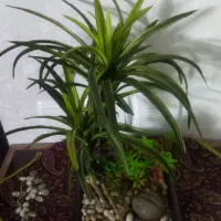 گلدان مصنوعی