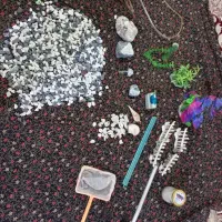 لوازم اکواریم|ماهی|نیشابور, خط کاشمر|دیوار