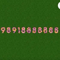 989188888884+|سیم‌کارت|تهران, ونک|دیوار