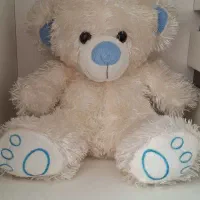 خرس نو بزرگ.