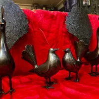 طاووس و کبوتر علامت کهنه