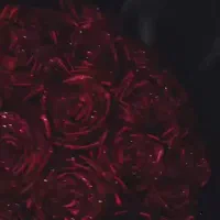 گل مصنوعی با کیفیت|گل مصنوعی|مشهد, سرافرازان|دیوار