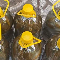 خیارشور خوش طعم  قیمت پایین|خوردنی و آشامیدنی|مشهد, کوی المهدی|دیوار