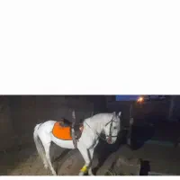 نریون خیلی آرام