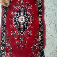 کناره و قفس و ابچکان|گلیم، جاجیم، گبه|مشهد, موعود|دیوار