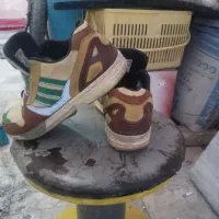 Zx8000|کیف، کفش، کمربند|قم, وادی السلام|دیوار