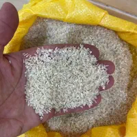 برنج طارم محلی و فجرسوزنی گرگان|خوردنی و آشامیدنی|کرمان, |دیوار