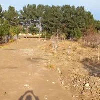 زمین باغی مرجان آباد