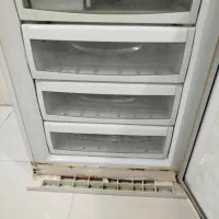 فروش یخچال|یخچال و فریزر|بندر دیر, |دیوار