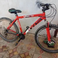 دوچرخه اصل ویوا