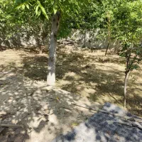 باغ ویلا کاسبی چندار