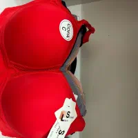 لباس زیر|لباس|قم, شاه سید علی|دیوار