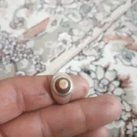 باباقوری