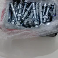 رول بولت