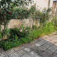 رهن واجاره ویلا جاده نظامی سوخته کلا ویو دریاچه|اجارهٔ خانه و ویلا|قائم‌شهر, |دیوار