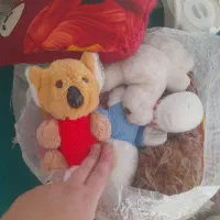 عروسک|اسباب‌‌بازی|ورامین, شهرک مدرس|دیوار