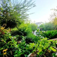 باغچه نیم پیلوت 330متر، پلاک2 جنگل* مبله سند|فروش خانه و ویلا|شیرگاه, |دیوار