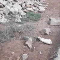 زمین شیبان