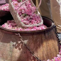 تور ۲ روزه کاشان و اَبیانه (رشت و آستانه اشرفیه)