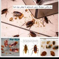 سمپاشی سوسک ساس سم پاشی کک وکنه  تضمینی صدرصدتضمین|خدمات نظافت|مشهد, خواجه ربیع|دیوار