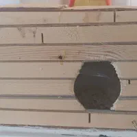لانه ی عروس هلندی