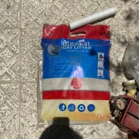 خاک گربه