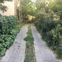 قیطریه منظریه ۲۸۰متر زمین  ۳۵۰متر بنا TOPلوکیشن|فروش زمین و ملک کلنگی|تهران, اختیاریه|دیوار