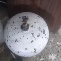 پکنیک
