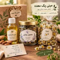 مینی پک معده