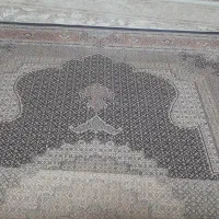 فرش 9 متری 700شانه|فرش|نقده, |دیوار