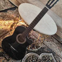 گیتار نو