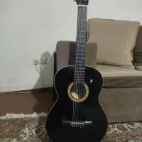 گیتار دسپرادو 3070مبتدی
