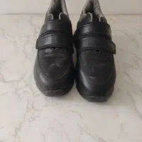 کفش مجلسی و کتونی|کیف، کفش، کمربند|آمل, |دیوار