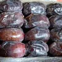 خرمایی درجه یک مهداب فروش نقد|عمدهفروشی|بم, |دیوار