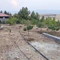 فروش باغ شهری خانزنیان|فروش زمین و ملک کلنگی|شیراز, شهرک فرزانگان|دیوار